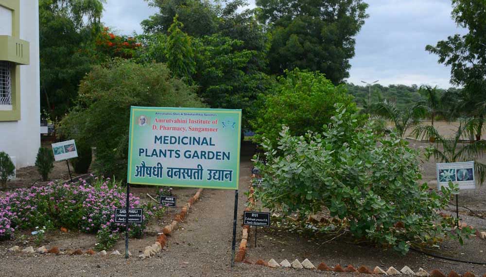 amrutvahini medicinal plant garden